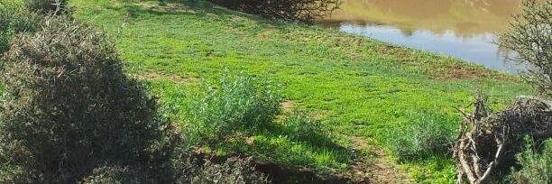 عبدالرحمن اللحياني banner