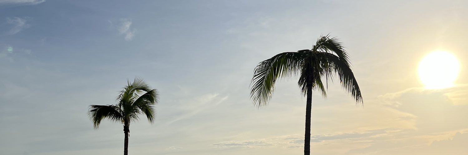 boomslect's profile banner image