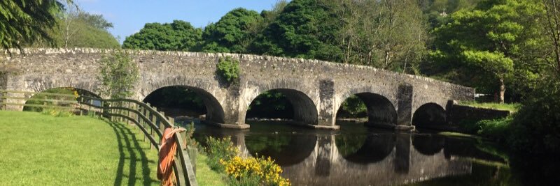 William Murphy banner