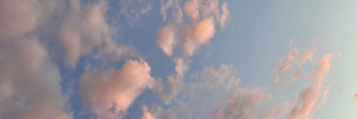laiafarres's profile banner image
