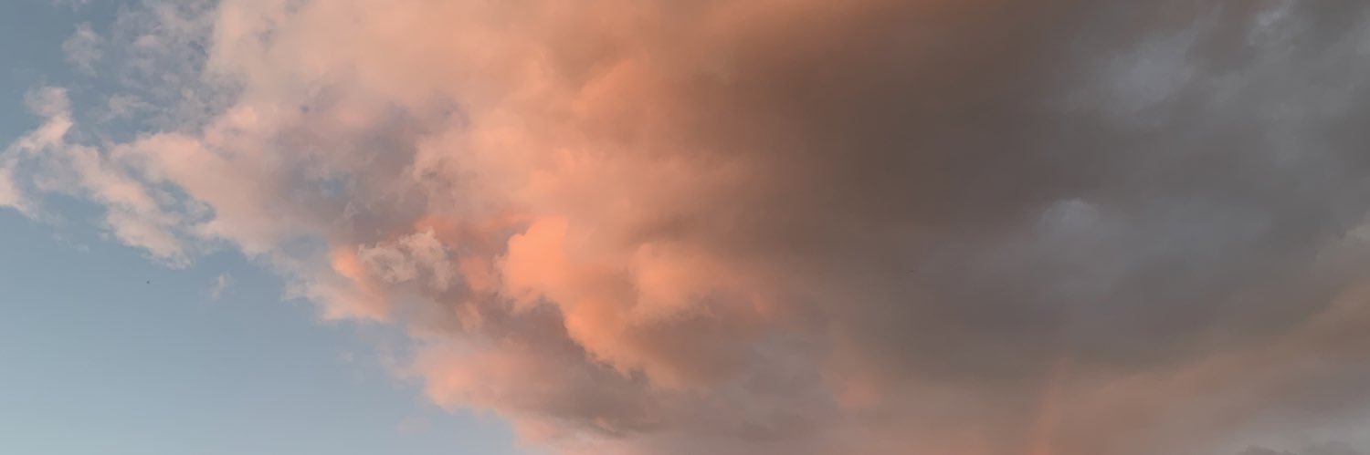 RaeganDearborn's profile banner image