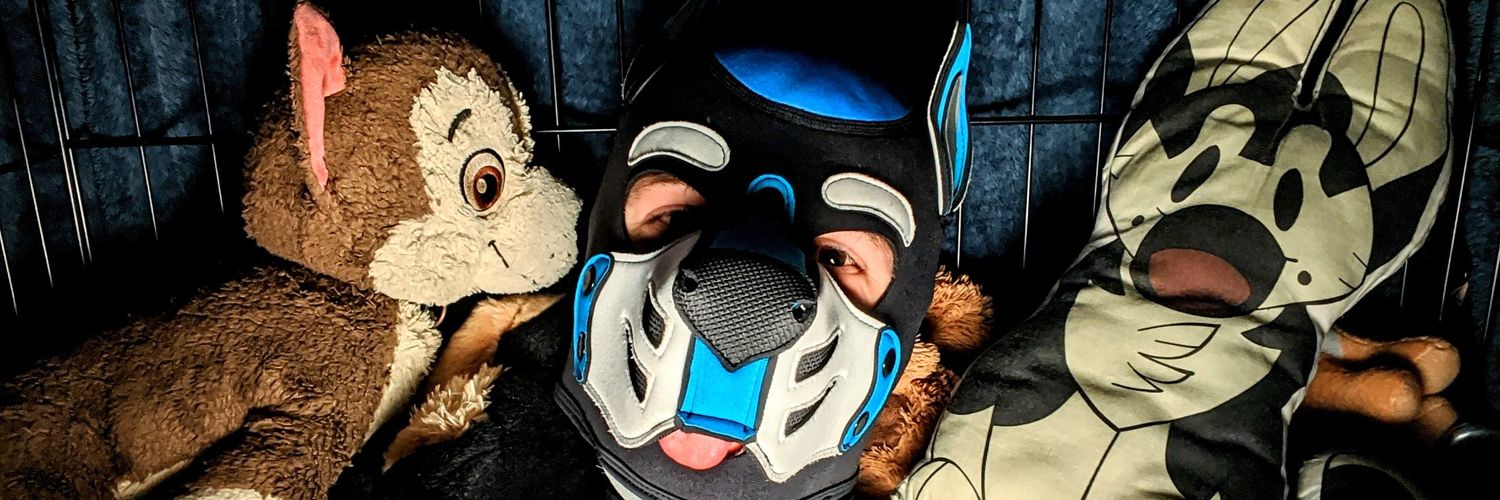 pupares's profile banner image