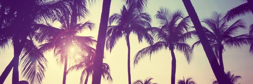 jluissanchezz's profile banner image