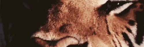 Sir_Aro's profile banner image