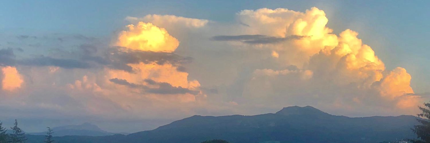 grzacc's profile banner image
