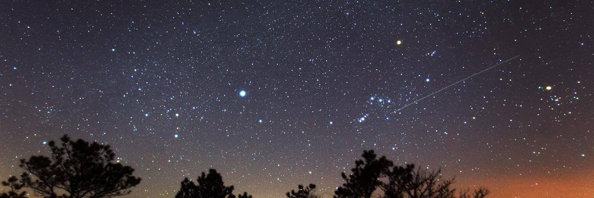Canis_SR's profile banner image