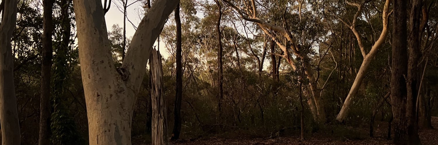 marknbyers's profile banner image