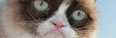 Meatwhistle73's profile banner image