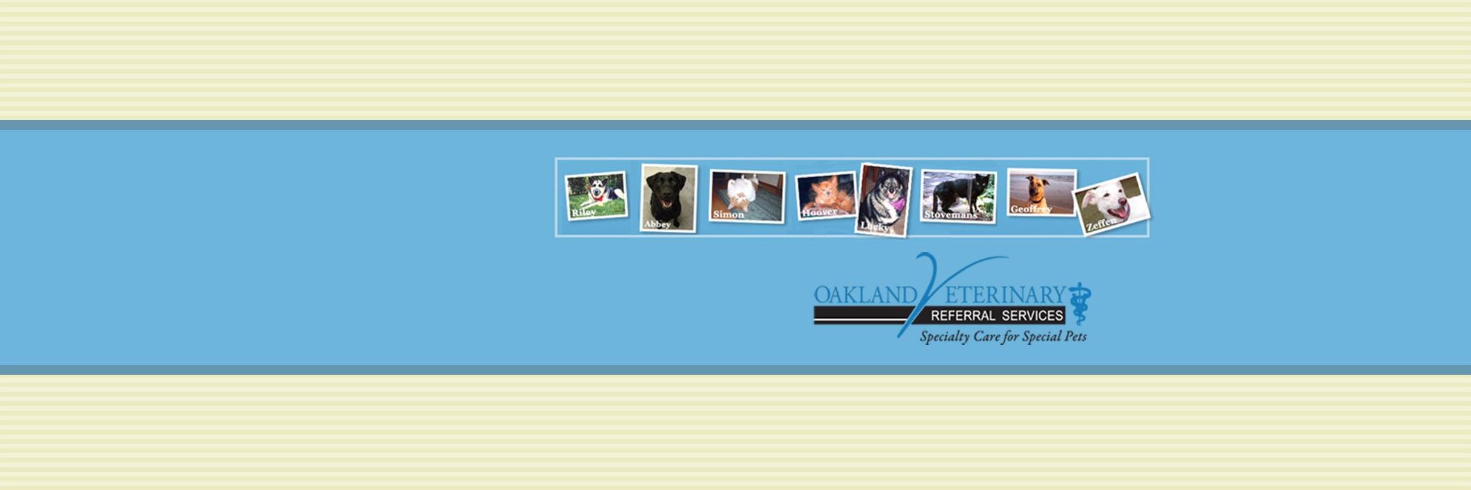 OaklandVet's profile banner image
