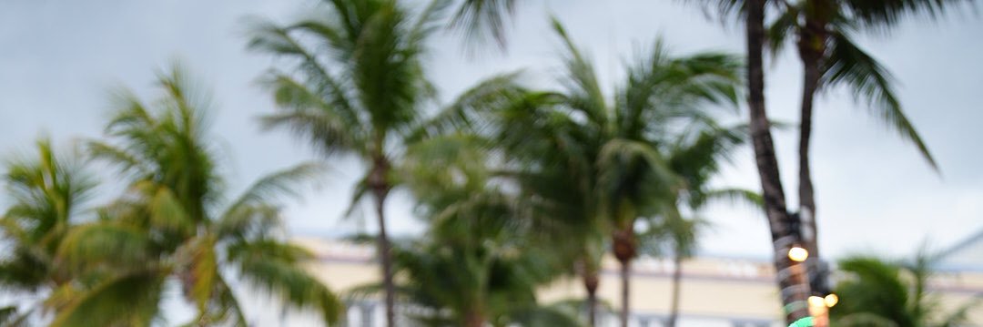 OTWUP2's profile banner image