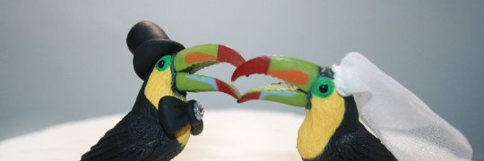 PolkaDotTopShop's profile banner image