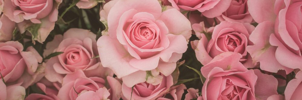 鈴 banner
