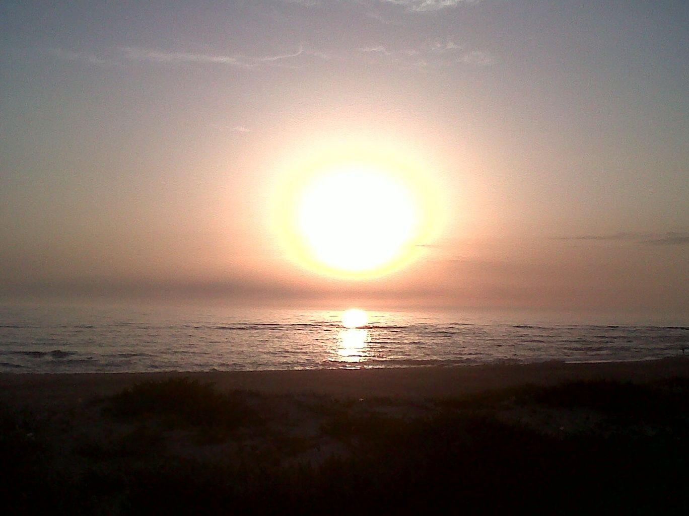 Mercedes Biosca banner