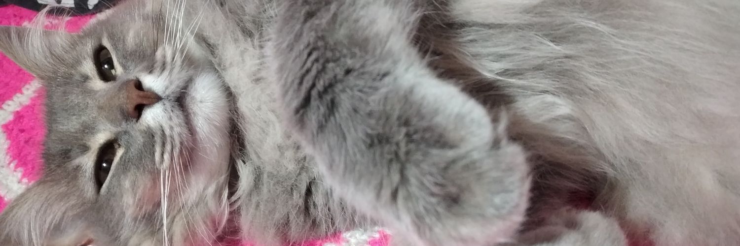 Vickifalcon_'s profile banner image