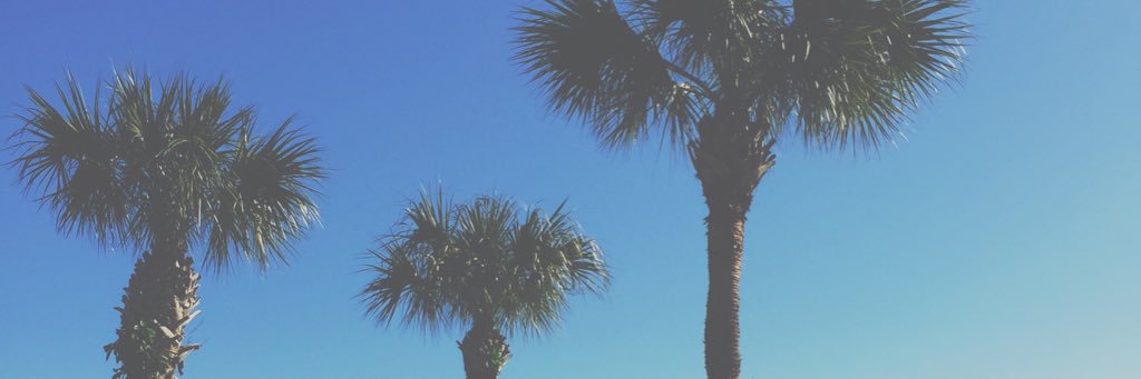 amandalschmidt_'s profile banner image