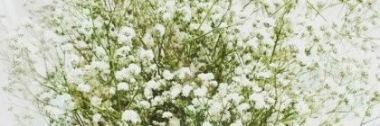Oliver_VM_'s profile banner image