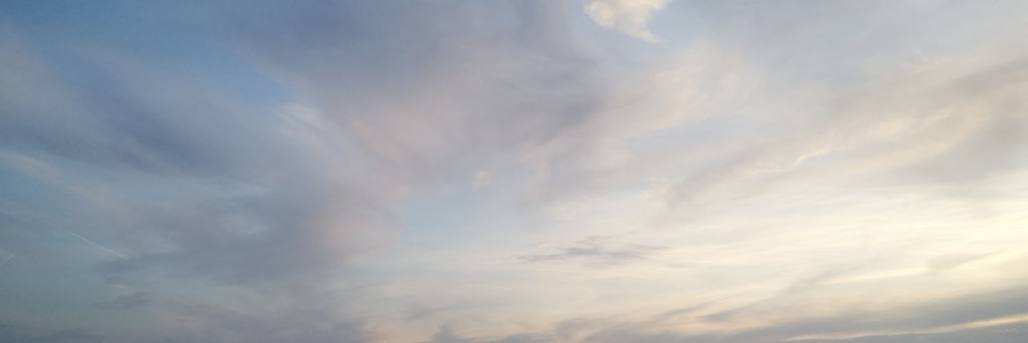 Petite Main ESR banner