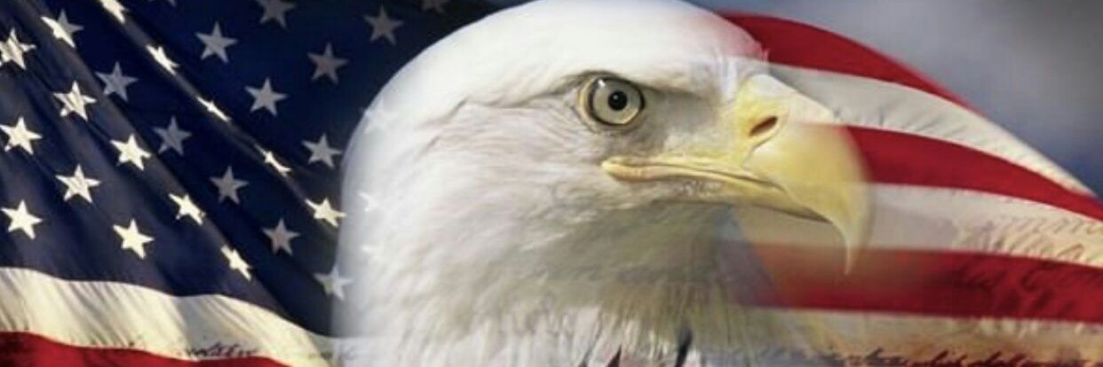 sandylaye's profile banner image