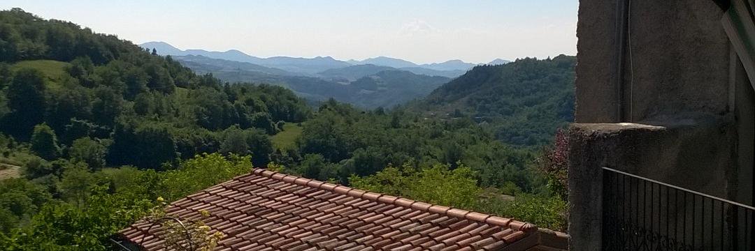 Fabrizio Faraon banner