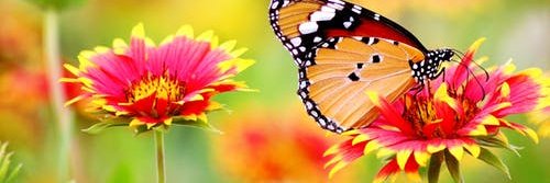 mariebres's profile banner image