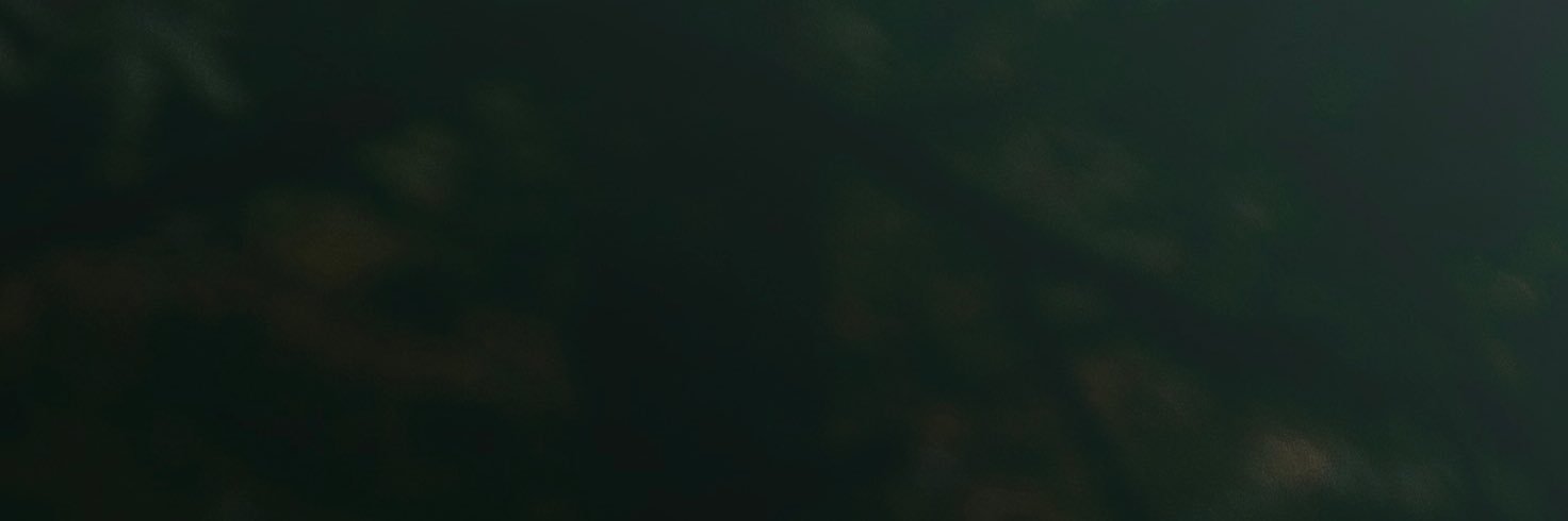 arellanes's profile banner image