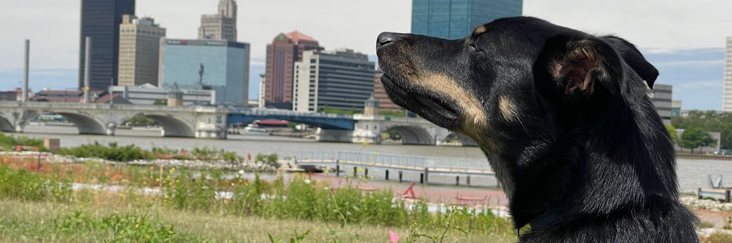JoshCroup's profile banner image