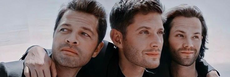 ckiuvsorro's profile banner image