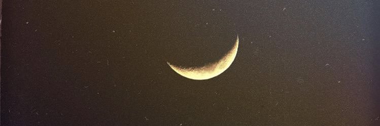 alma_dalma's profile banner image
