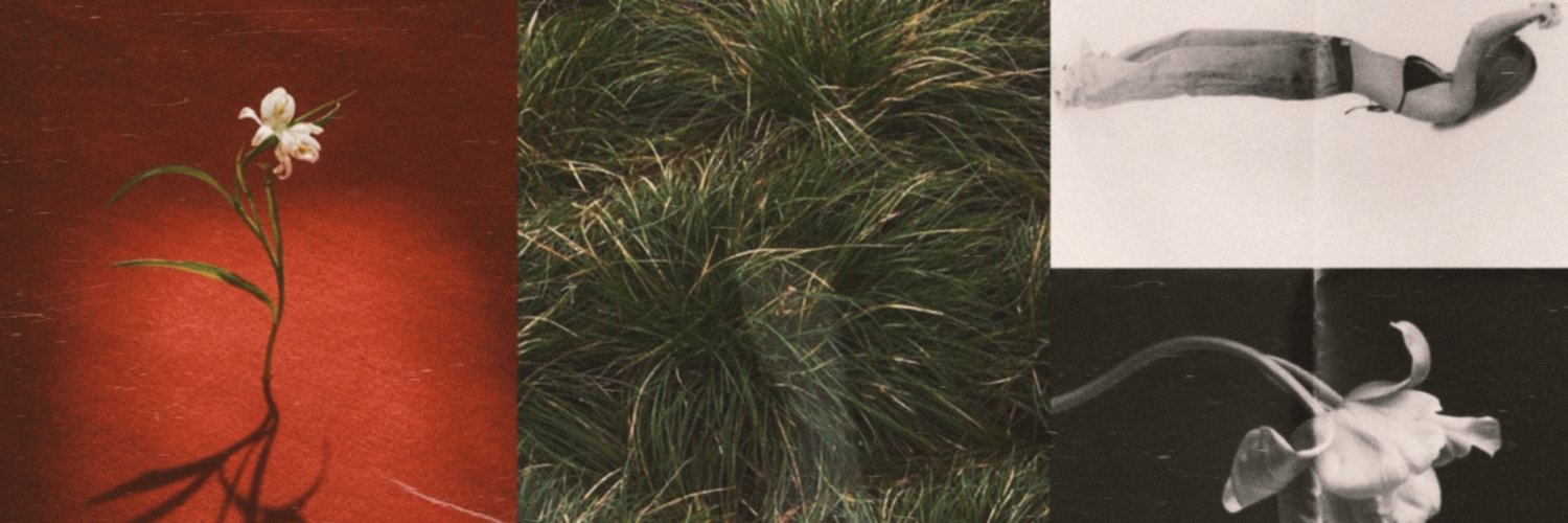 Kiestal's profile banner image
