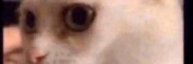 NahNotMine's profile banner image