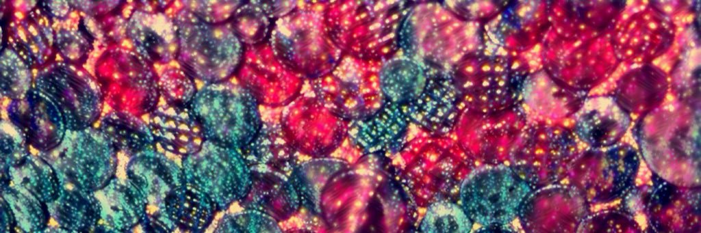 MUFFHUGGA1's profile banner image