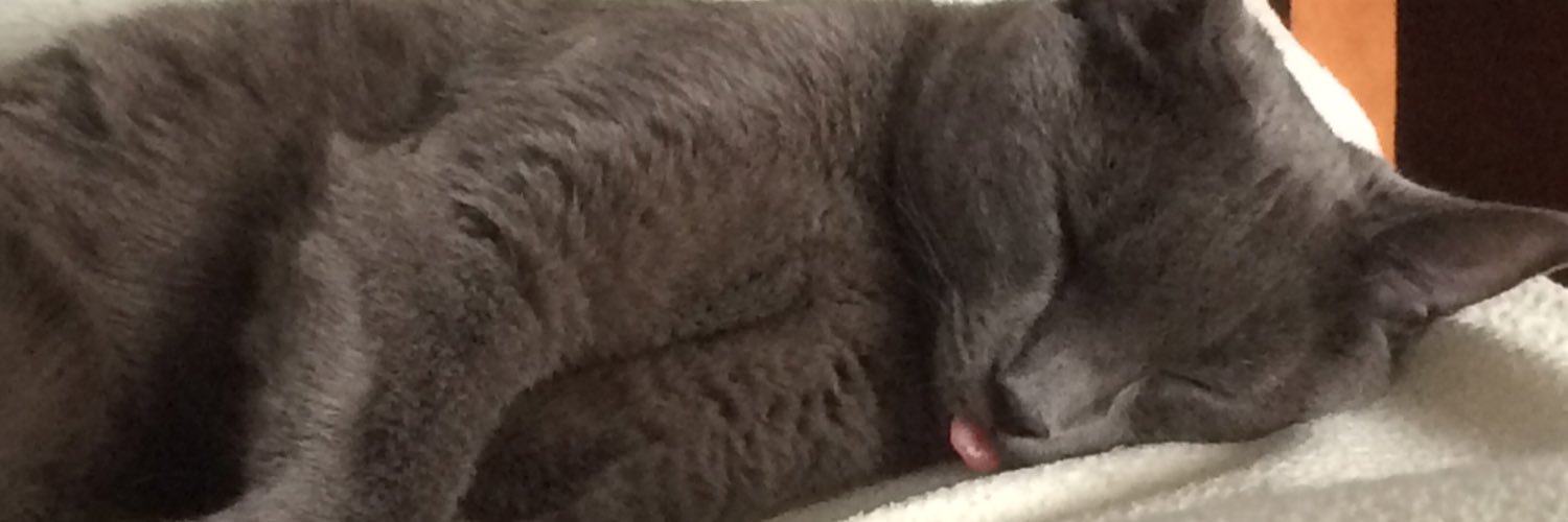 Simba_TheCat011's profile banner image