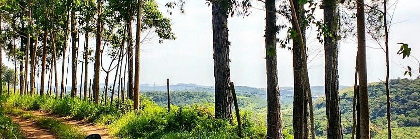 BrunaSo93762017's profile banner image