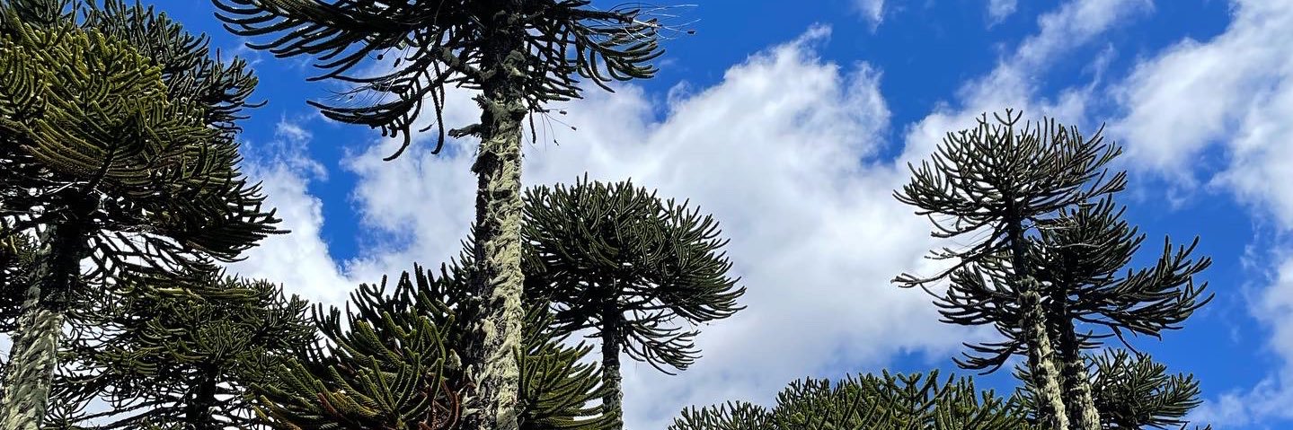 Consuelo_8's profile banner image