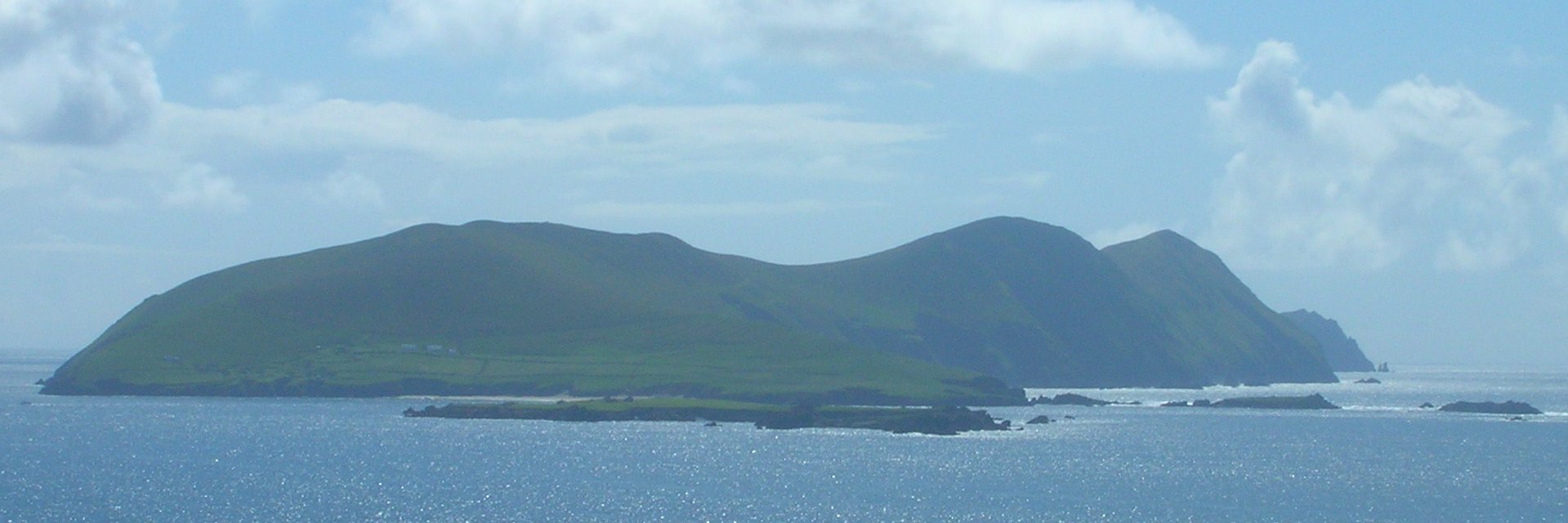 Catherine Connors banner
