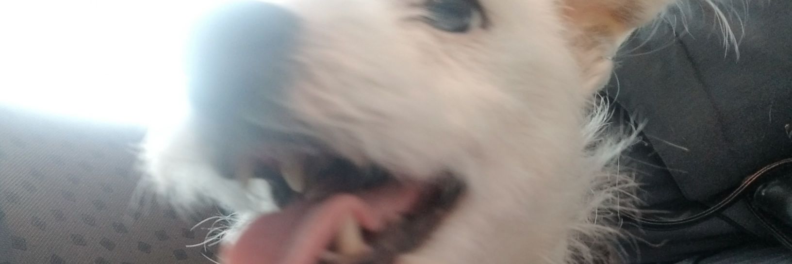 NannersMom's profile banner image