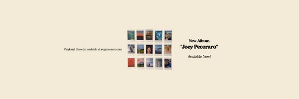 joeypecoraro Profile Banner