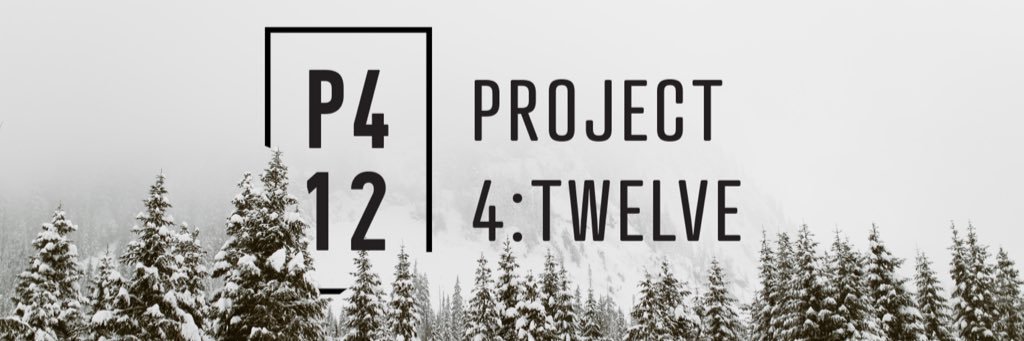 P4Twelve's profile banner image