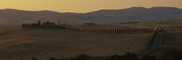 GiovanniMule Profile Banner