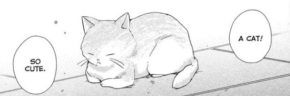 DaniBSolomon's profile banner image