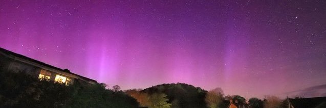 Matthew Halstead banner