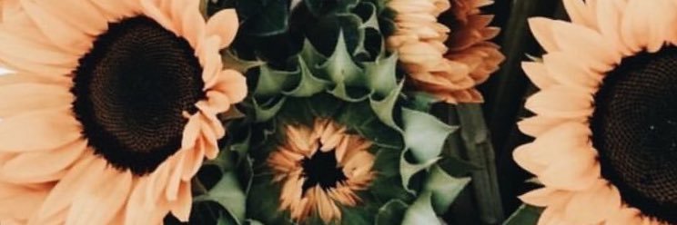 PaulaGLeon's profile banner image