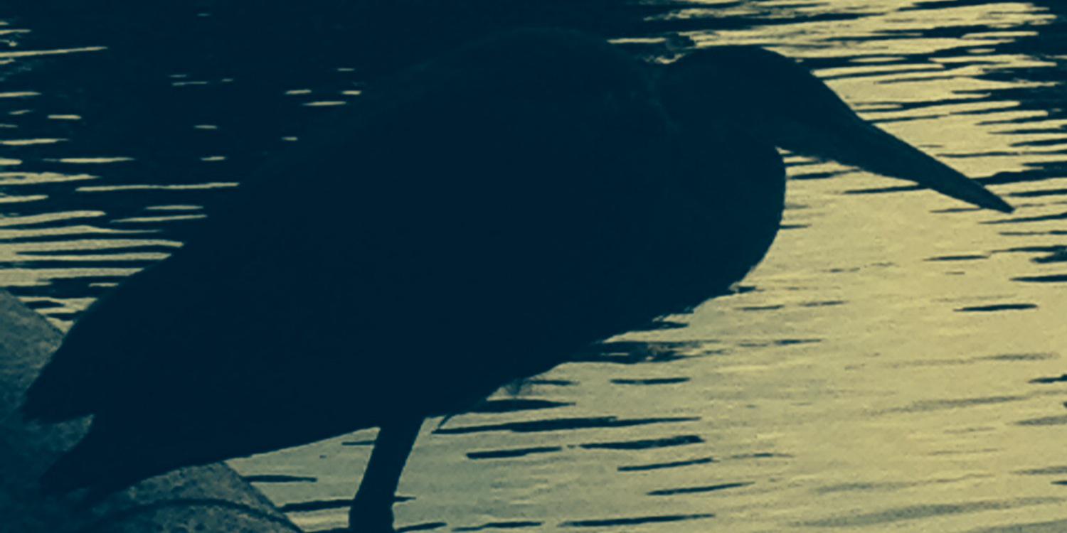 benedickraikes's profile banner image