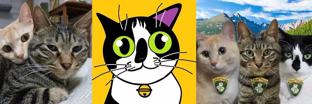 dwarfgarden#ToraTaro4eva banner