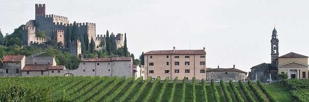 wintalynetwork's profile banner image
