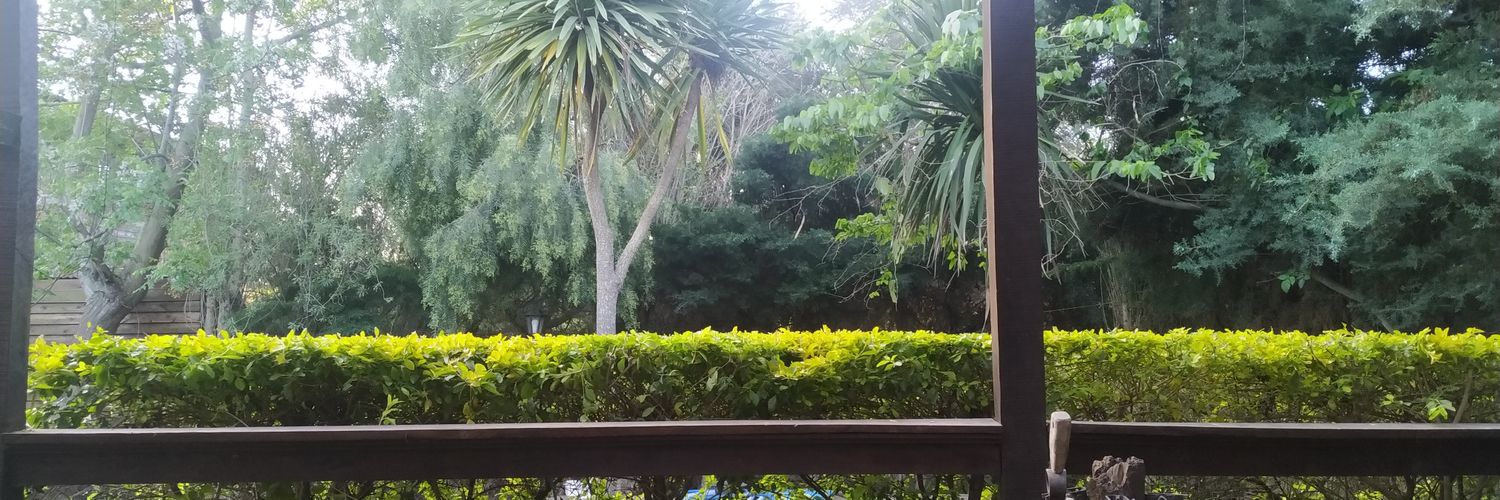 MarcelodeLujan's profile banner image