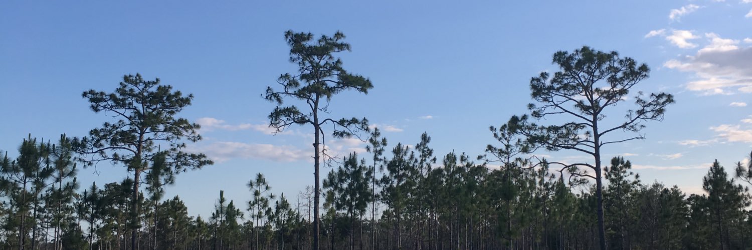 DomTompkins's profile banner image