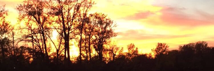 Jflo008's profile banner image
