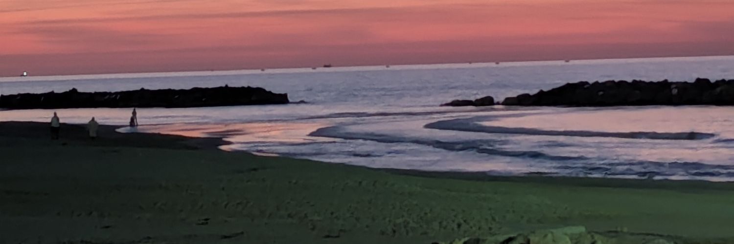 sarasilb's profile banner image