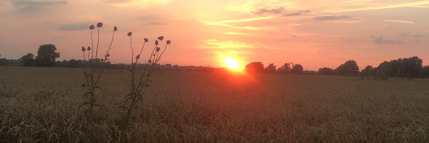 crenee_92's profile banner image